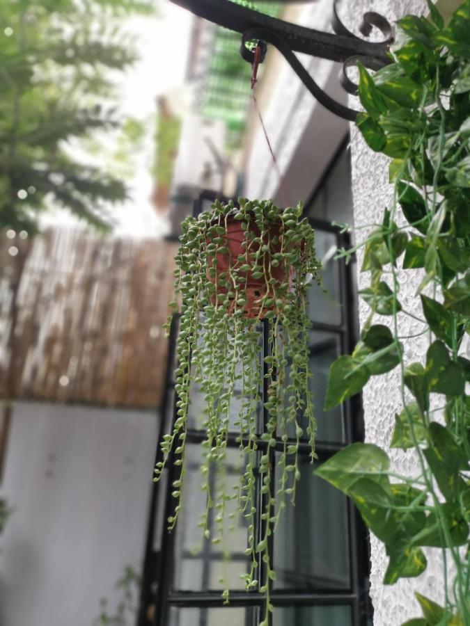 林人酒店 Jingan Exteriér fotografie
